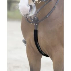 Schockemöhle Body Guard Vorderzeug Espresso 9 Schockemöhle Body Guard Vorderzeug Espresso -Reitsportbedarf Verkäufe 1160 00001 schoner bodyguard black.f9bc40 1