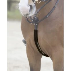 Schockemöhle Body Guard Vorderzeug Schwarz -Reitsportbedarf Verkäufe 1160 00001 schoner bodyguard espresso.acb5cb