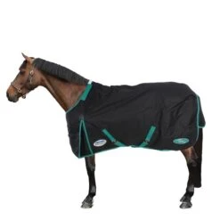 Weatherbeeta Winterdecke Green-Tec 900D Detach-A-Neck Lite Plus 50g Schwarz/Grün -Reitsportbedarf Verkäufe 44736426 2.257e5f