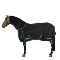 Weatherbeeta Winterdecke Green-Tec 900D Detach-A-Neck Lite Plus 50g Schwarz/Grün -Reitsportbedarf Verkäufe 44736426.9f1a49