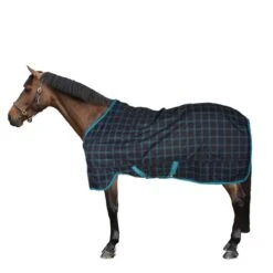 Amigo Pony Plus 50g Schwarz Check Teal/Silver -Reitsportbedarf Verkäufe 44754244 2.c20ca5