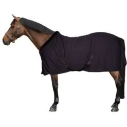 EQUITHÈME Cooler Teddy Schwarz/Braun -Reitsportbedarf Verkäufe 44965321.b57d3f