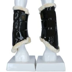 BR Beinschutz Majestic Lacquer Braun -Reitsportbedarf Verkäufe agradi 44491788 2.ae8d17