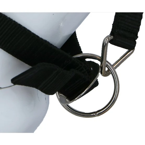 Kerbl Halfter Mit Integrierter Fliegemaske 8 Kerbl Halfter Mit Integrierter Fliegemaske – Bild 6