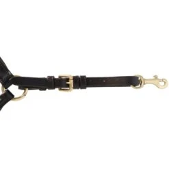 Kavalkade Brustgeschirr Lorenz Braun -Reitsportbedarf Verkäufe agradi 44577608 5.ff69de