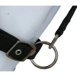 Harry's Horse Fliegenmaske Halfter Mit Ohren 11 Harry's Horse Fliegenmaske Halfter Mit Ohren -Reitsportbedarf Verkäufe agradi 445904032 5.6f115e