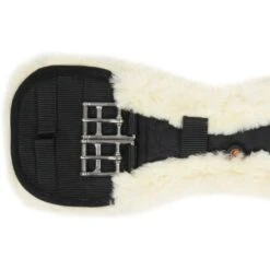 Kentucky Horsewear Kentucky Dressurgurt Sheepskin Short Stud 11 Kentucky Horsewear Kentucky Dressurgurt Sheepskin Short Stud -Reitsportbedarf Verkäufe agradi 44669662 3.931566