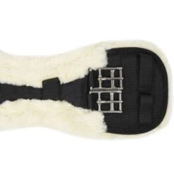 Kentucky Horsewear Kentucky Dressurgurt Sheepskin Short Stud 13 Kentucky Horsewear Kentucky Dressurgurt Sheepskin Short Stud -Reitsportbedarf Verkäufe agradi 44669662 5.34b7d2
