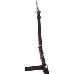 Passier Vorderzeug Ingrid Klimke Havanna/Silber -Reitsportbedarf Verkäufe agradi 44709656 4.5059e2