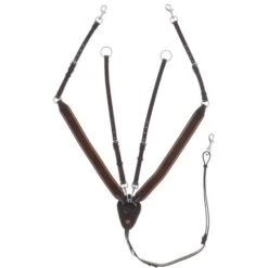 Kieffer Brustgeschirr Arlene Elastisch Schwarz -Reitsportbedarf Verkäufe agradi 44718571 1.7f5199