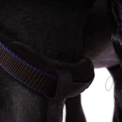 Weatherbeeta Winterdecke Comfitec Ultra Cozi IIDetach-A-Neck 220g Charcoal/Blau/Weiß -Reitsportbedarf Verkäufe agradi 44747539 8.62bbe3