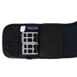 Harry's Horse Dressurgurt FreeFit Memoryfoam Schwarz 9 Harry's Horse Dressurgurt FreeFit Memoryfoam Schwarz -Reitsportbedarf Verkäufe agradi 44814214 3.05edb9