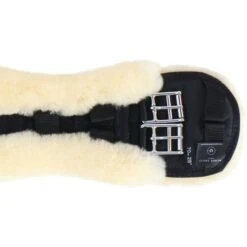 Werner Christ Dressurgurt Anatomic Mit Fell Schwarz/Anthrazit 25 Werner Christ Dressurgurt Anatomic Mit Fell Schwarz/Anthrazit -Reitsportbedarf Verkäufe agradi 44971278 5.4e3b8c