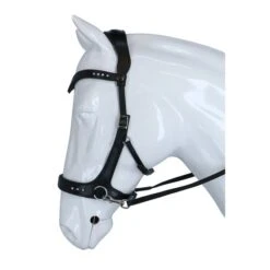 F.R.A. Zaum Glory Side-Pull-Leder Mit Perlen Schwarz