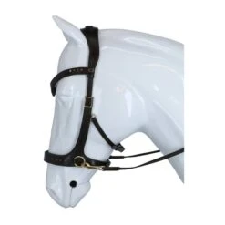 F.R.A. Zaum Glory Side-Pull-Leder Mit Perlen Schwarz -Reitsportbedarf Verkäufe agradi 45048634 1.669e33