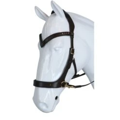 F.R.A. Zaum Glory Side-Pull-Leder Mit Perlen Schwarz -Reitsportbedarf Verkäufe agradi 45048634 2.89c494