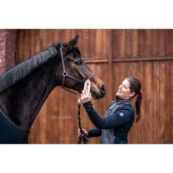 Bense & Eicke Glanzbürste GlanzElse 10 Bense & Eicke Glanzbürste GlanzElse -Reitsportbedarf Verkäufe be 1630 benseundeicke staub und fellglanzburste glanzelse 2.d14dff