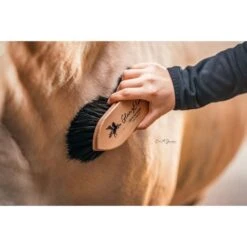 Bense & Eicke Glanzbürste GlanzElse 13 Bense & Eicke Glanzbürste GlanzElse -Reitsportbedarf Verkäufe be 1630 benseundeicke staub und fellglanzburste glanzelse 5.d25fc5