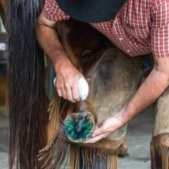 Vetericyn Hoof Care Spray 237ml -Reitsportbedarf Verkäufe bestia 2582616313.a9eadc