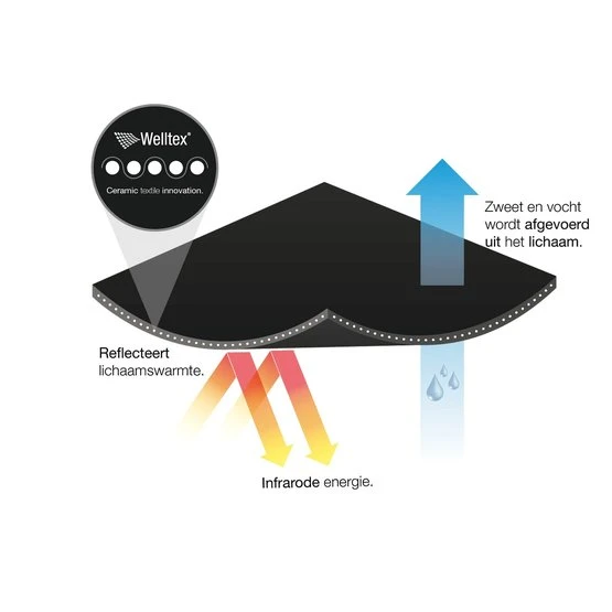 Back On Track Netzdecke Pferd Schwarz 13 Back On Track Netzdecke Pferd Schwarz – Bild 11