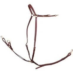 BR Vorderzeug Rayleigh Mit Sattelriemen Und Gummizug Schwarz/Silber 7 BR Vorderzeug Rayleigh Mit Sattelriemen Und Gummizug Schwarz/Silber -Reitsportbedarf Verkäufe br 232017 n082 01.c09770