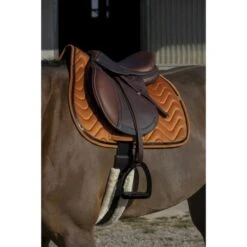 EQUITHÈME Schabracke Glossy Vielseitig Altrosa Warmblut -Reitsportbedarf Verkäufe ekkia 204 761 022 ambi1.a04797 1
