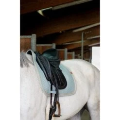EQUITHÈME Schabracke Softy Dressur Burgunderrot -Reitsportbedarf Verkäufe ekkia 204 766 009 3quart1.fead65 2