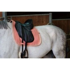 EQUITHÈME Schabracke Softy Dressur Lachs -Reitsportbedarf Verkäufe ekkia 204 766 025 ambi1.434b65