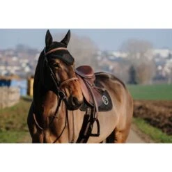 EQUITHÈME Schabracke Badge Springen Schwarz Warmblut 17 EQUITHÈME Schabracke Badge Springen Schwarz Warmblut -Reitsportbedarf Verkäufe ekkia 204 770 002 ambi2.84aa1a