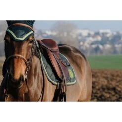 EQUITHÈME Schabracke Badge Springen Schwarz Warmblut 23 EQUITHÈME Schabracke Badge Springen Schwarz Warmblut -Reitsportbedarf Verkäufe ekkia 204 770 008 ambi4.719c97