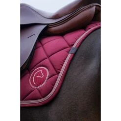 EQUITHÈME Schabracke Badge Springen Schwarz Warmblut 21 EQUITHÈME Schabracke Badge Springen Schwarz Warmblut -Reitsportbedarf Verkäufe ekkia 204 770 033 ambi3.42bd48