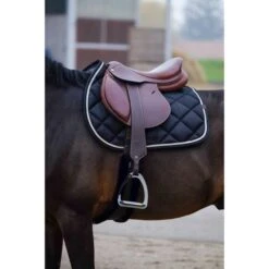 EQUITHÈME Schabracke Classic Springen Dunkelgrün Warmblut 36 EQUITHÈME Schabracke Classic Springen Dunkelgrün Warmblut -Reitsportbedarf Verkäufe ekkia 204 773 002 ambi2.9bee19
