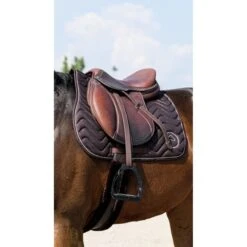 EQUITHÈME Schabracke Rain Springen Navy Warmblut -Reitsportbedarf Verkäufe ekkia 204 780 004 ambi1.745477