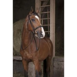 Norton Zügel Pro Gummi 16mm Schwarz/Weiß -Reitsportbedarf Verkäufe ekkia z05838 305 631 302 ambi.df21de