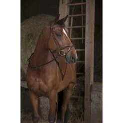 Norton Zügel Pro Hunting Mit Griffen Schwarz Warmblut -Reitsportbedarf Verkäufe ekkia z06304 305 621 018 ambi1.3a2124