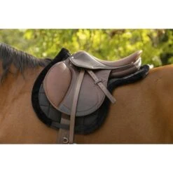 EQUITHÈME Schabracke Pro Choco Full -Reitsportbedarf Verkäufe ekkia z07125 204 476 002 ambi.55707f