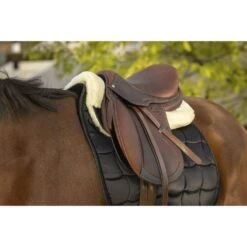 EQUITHÈME Unterleger Teddy Schwarz/Weiß Warmblut -Reitsportbedarf Verkäufe ekkia z07559 206 074 205 ambi2.faf3c1