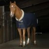 EQUITHÈME Decke Teddy Mesh Navy -Reitsportbedarf Verkäufe ekkia z07616 400 020 763 ambi1.30ebbe