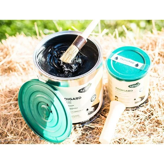 Ravene Pediguard Schwarz Schwarz 4 Ravene Pediguard Schwarz Schwarz – Bild 2