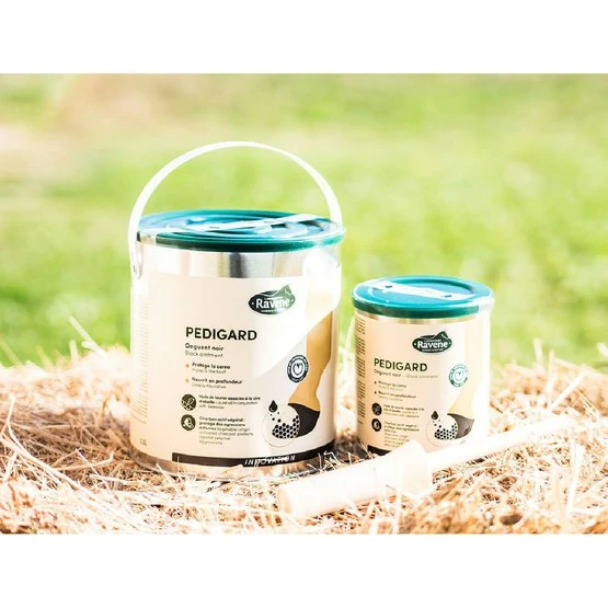 Ravene Pediguard Schwarz Schwarz 5 Ravene Pediguard Schwarz Schwarz – Bild 3