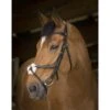 Norton Trense Pro Mexikanischer Nasenriemen Schwarz Warmblut -Reitsportbedarf Verkäufe ekkia z07810 301 893 302 ambi1.31459f