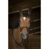 Norton Zügel Rosegold Havanna Warmblut -Reitsportbedarf Verkäufe ekkia z07814 305 645 302 ambi1.48bf2c