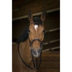 Norton Zügel Rosegold Havanna Warmblut