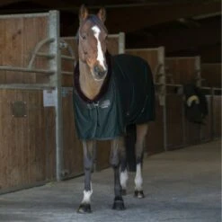 EQUITHÈME Cooler Teddy Schwarz/Braun -Reitsportbedarf Verkäufe ekkia z07970 400 743 863 ambi1.c17fe3