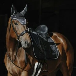 EQUITHÈME Schabracke French Touch Dressur Schwarz Warmblut 15 EQUITHÈME Schabracke French Touch Dressur Schwarz Warmblut -Reitsportbedarf Verkäufe ekkia z07996 204 755 002 ambi1.5479fb
