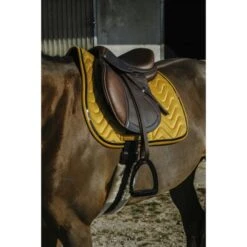 EQUITHÈME Schabracke Glossy Vielseitig Altrosa Warmblut -Reitsportbedarf Verkäufe ekkia z08296 204 761 010 ambi1.2e31c6 1