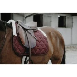 EQUITHÈME Schabracke Pro Air Vielseitig Grau Warmblut -Reitsportbedarf Verkäufe ekkia z08298 204 922 033 ambi1.bd1bf3