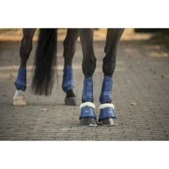 Lami-Cell Flex-Trainer Comfort Honey Gold -Reitsportbedarf Verkäufe ekkia22 550 108 306 ambi5.bc1f88