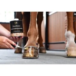 Excellence Huföl Special Bedding Naturell 9 Excellence Huföl Special Bedding Naturell -Reitsportbedarf Verkäufe excellence ga6 5295b.576c89