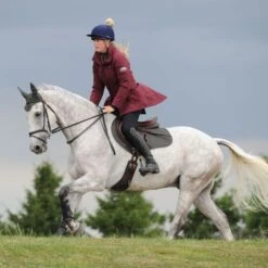 Weatherbeeta Schabracke Prime Springen Grau -Reitsportbedarf Verkäufe fc71cacd38c31347ee6f424db84c6705.64ad45